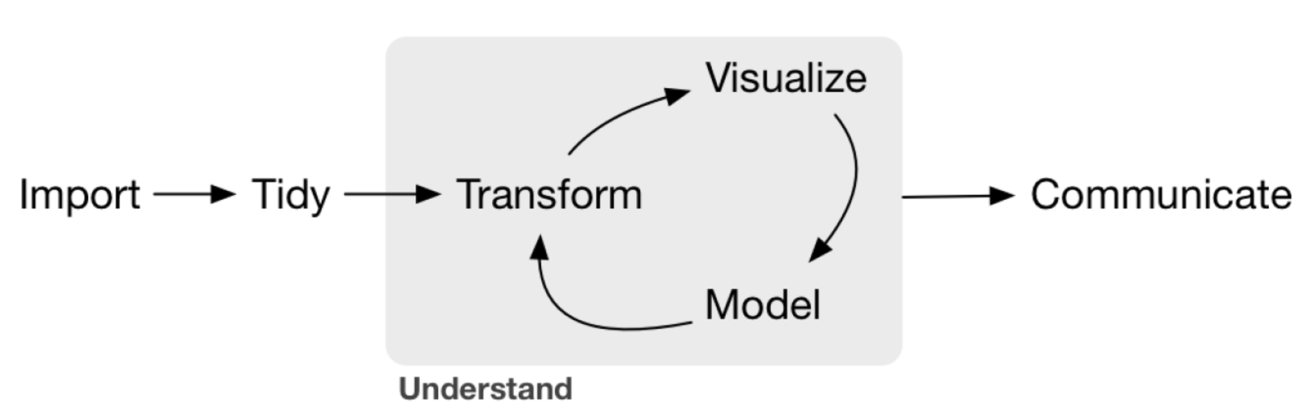 Schema der Datenanalyse in R