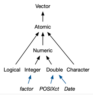 S3 atomic vectors, source: https://adv-r.hadley.nz/vectors-chap.html