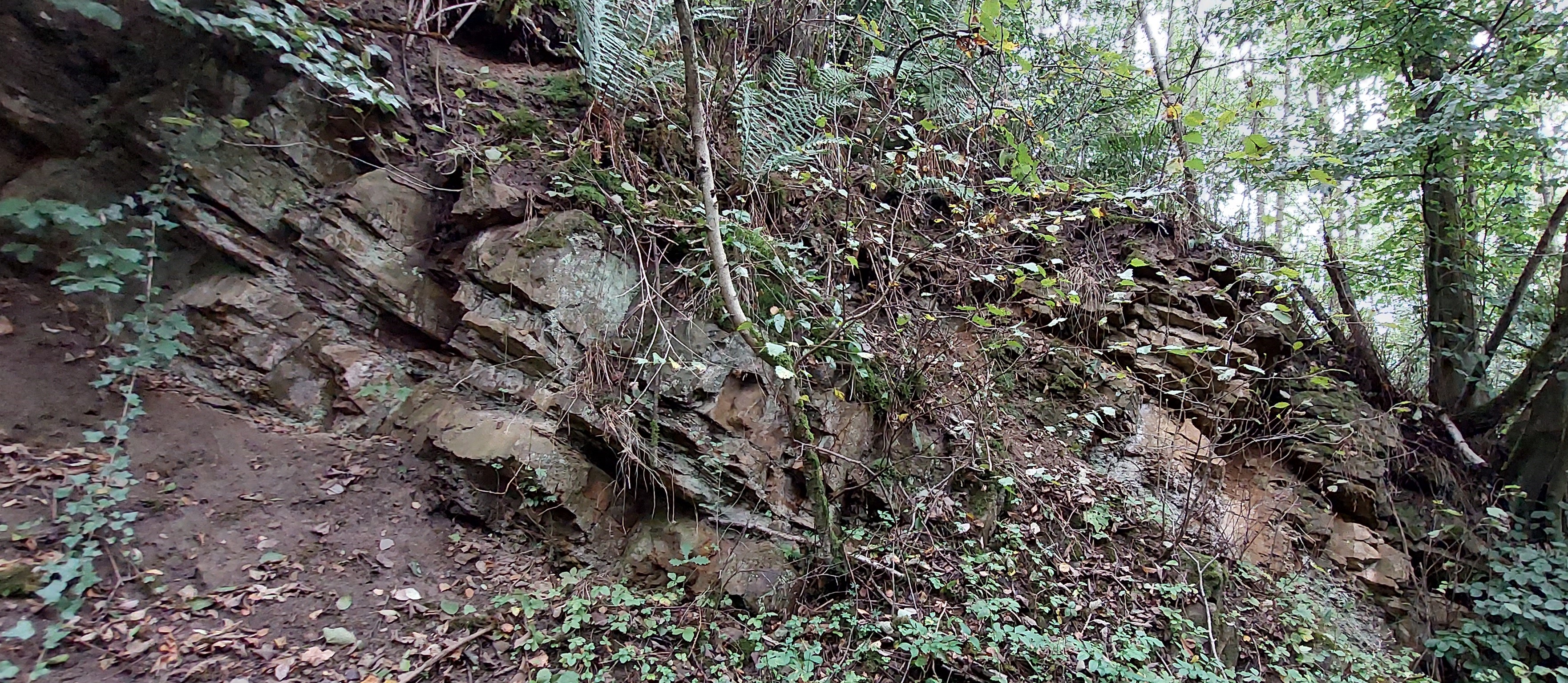 Gesteinsaufschluss am Oberlübber Bergsee.