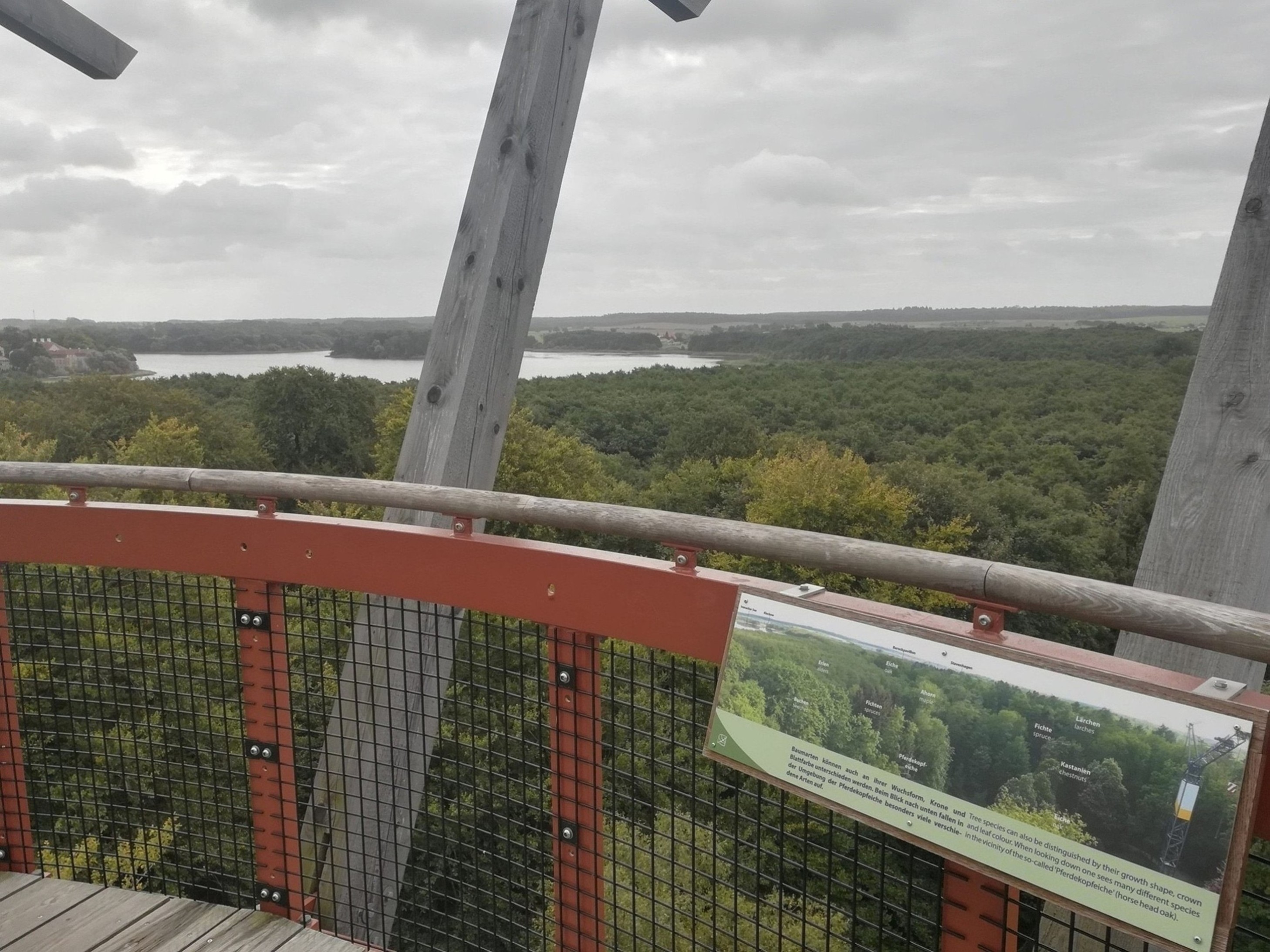 Ausblick auf den Ivenacker See.