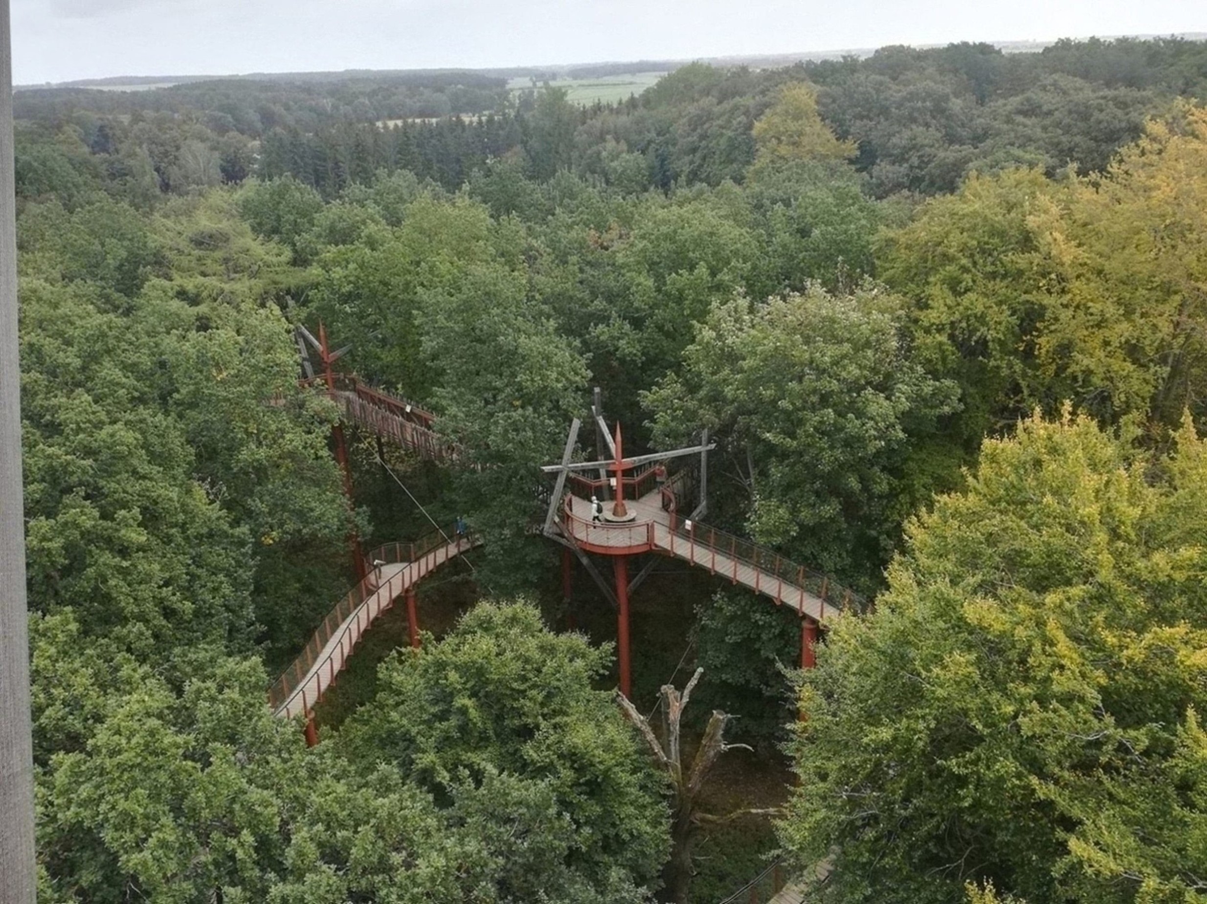 Der Baumkronenpfad von oben betrachtet.