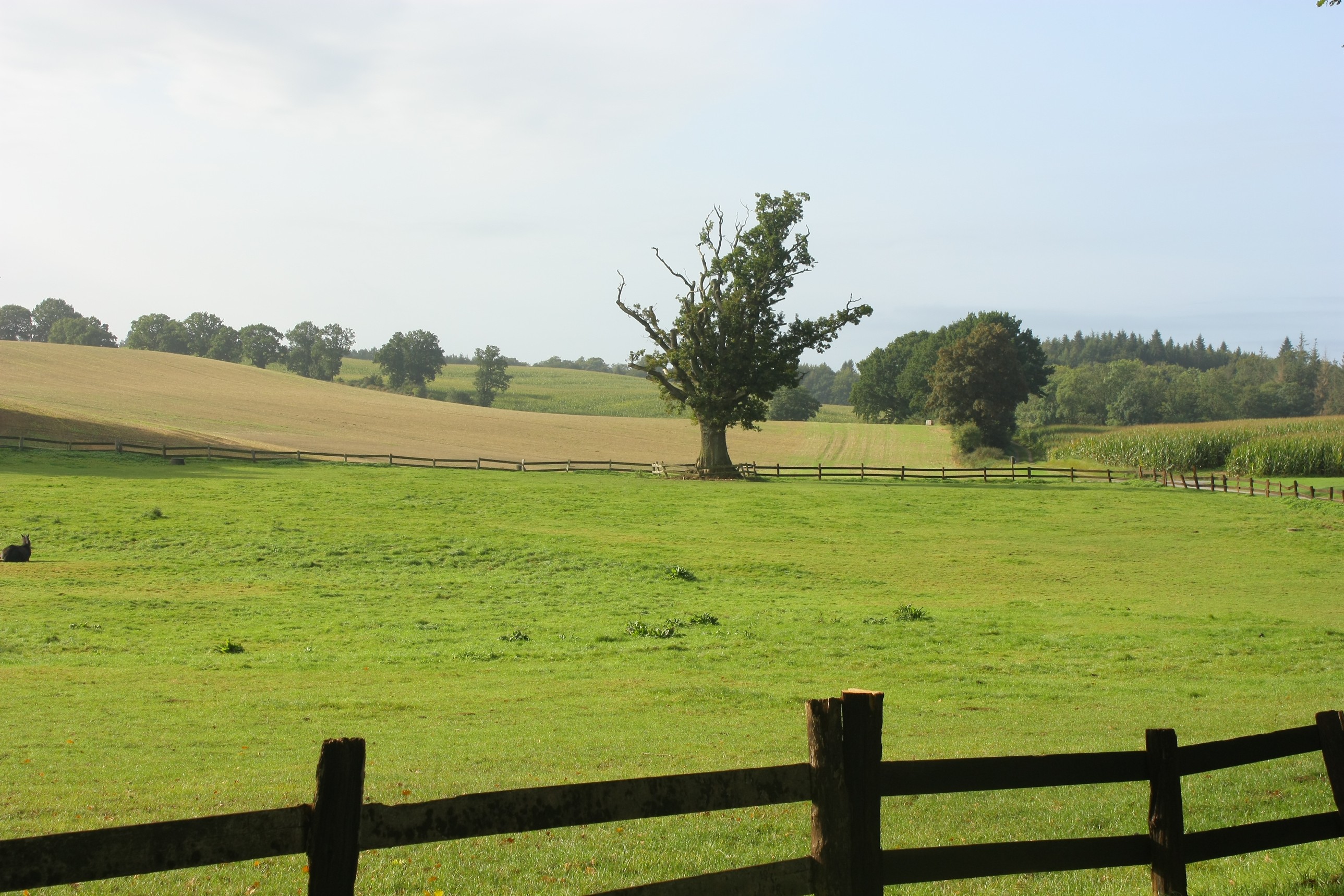 Landschaft im östlichen Hügleland.