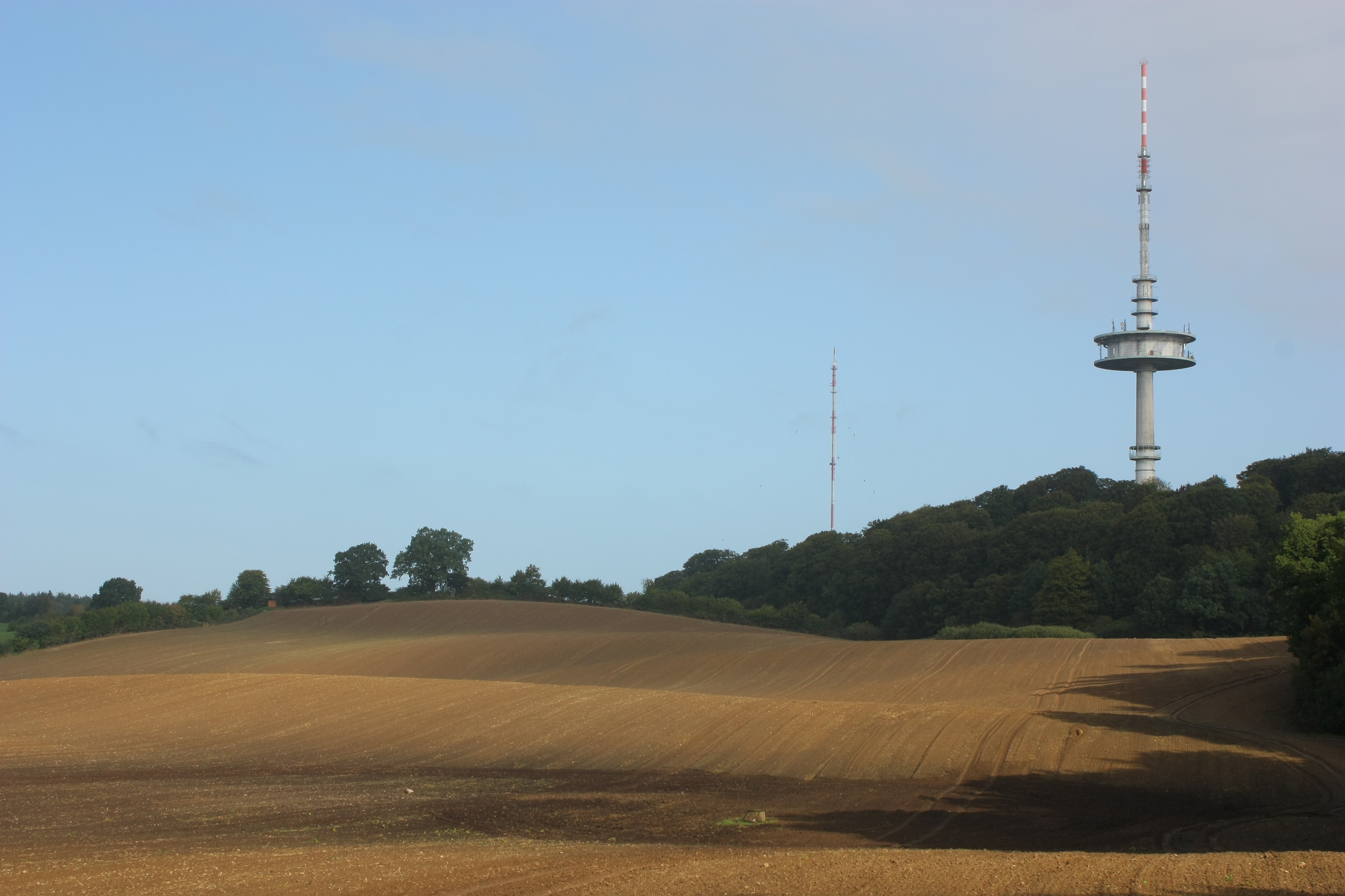 Der Bungsberg mit Fernsehturm.