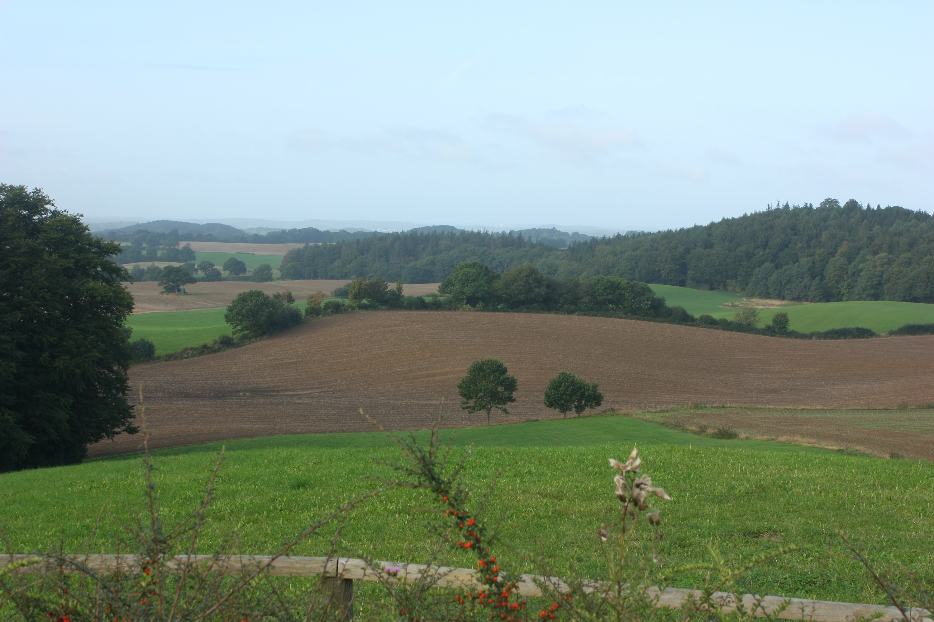 Blick vom Bungsberg nach Nordwesten.